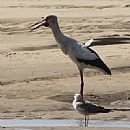 Laguna Jose Ignacio 21/8/2100